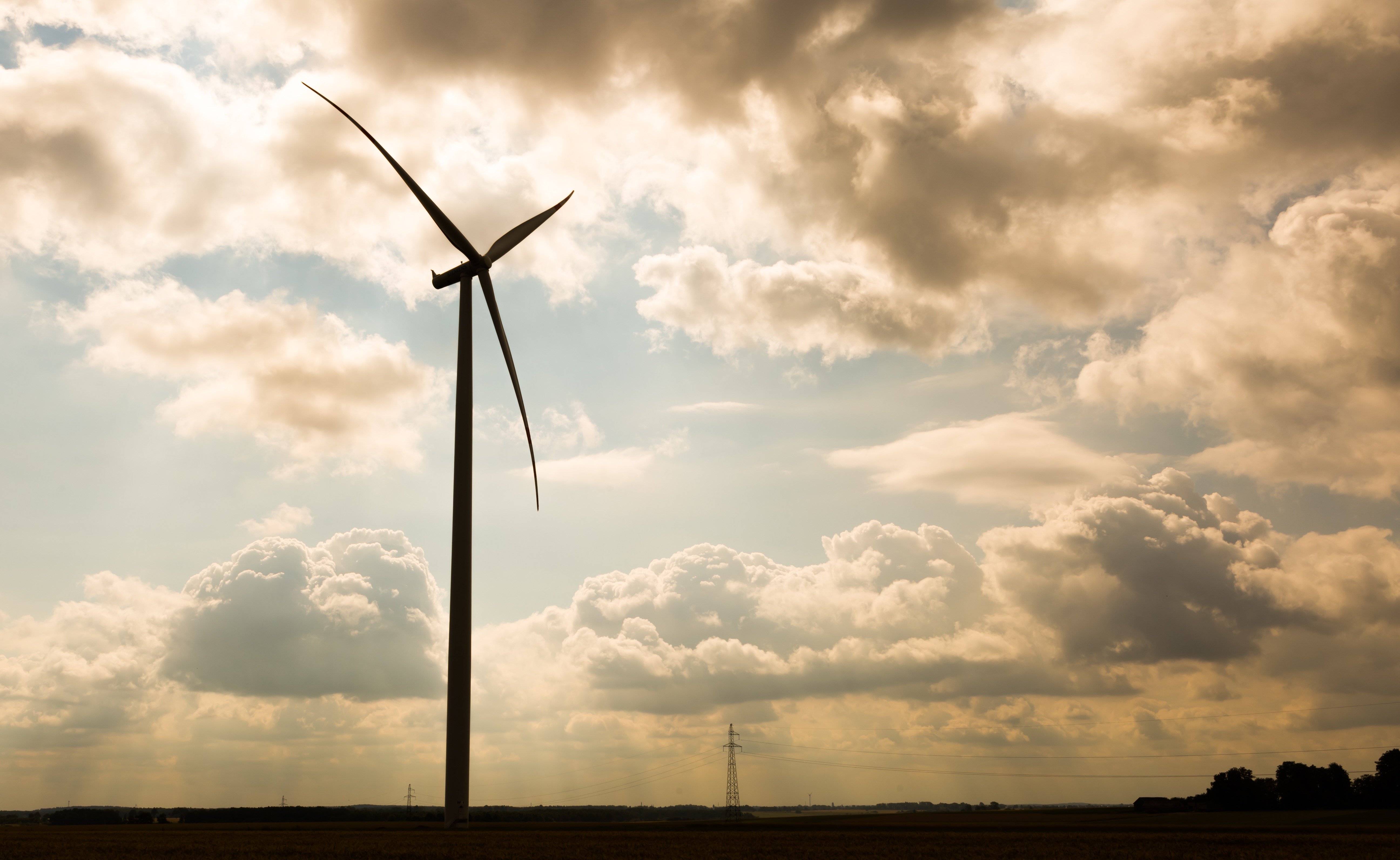 windmills-standing-on-corn-field-beautiful-rural-landscape-with-windmills-SBI-300871035